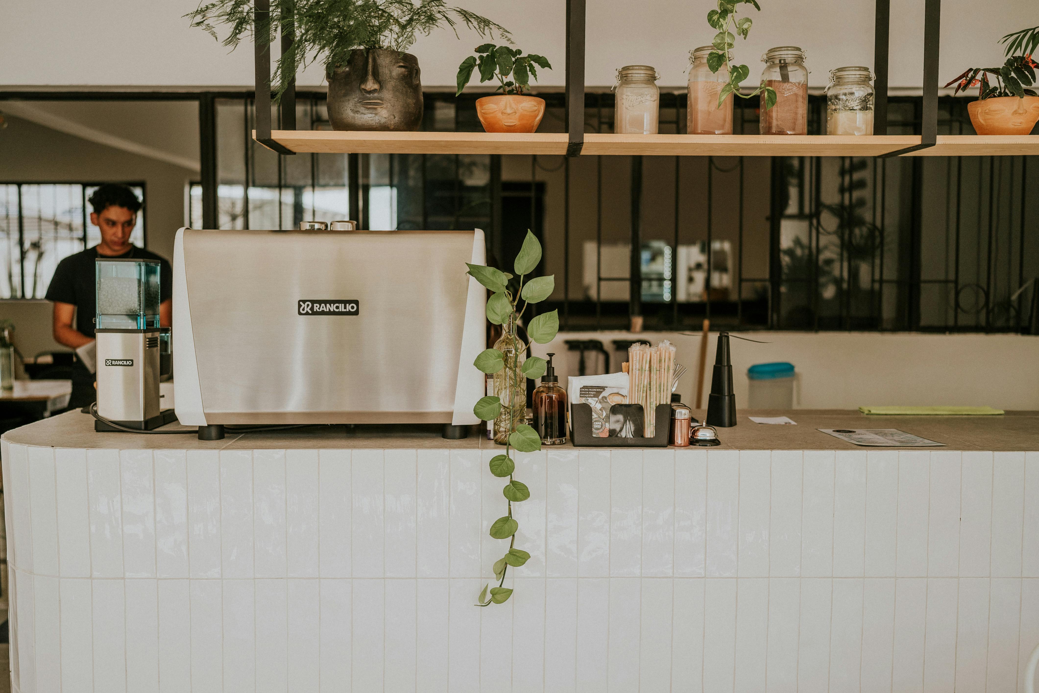 Cafe counter with espresso machine and hanging plants in warm light.