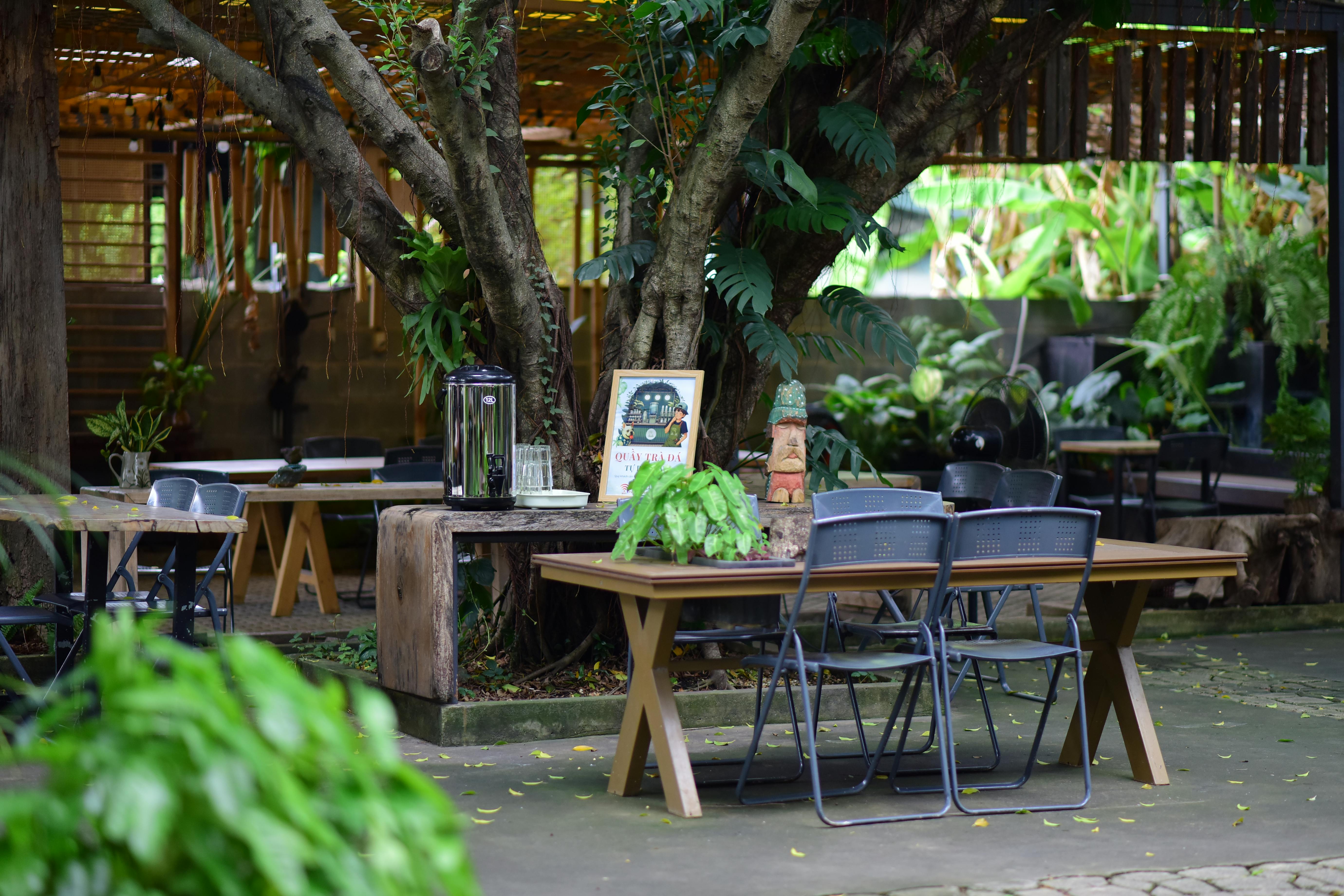 Outdoor cafe seating shaded by trees.
